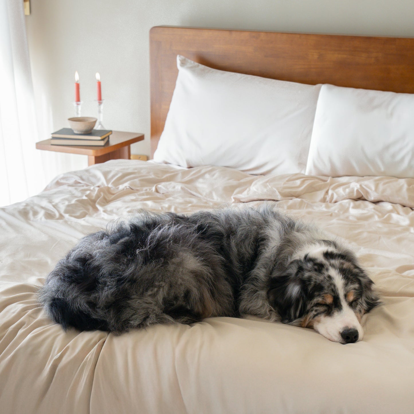 FurAway Comfort Bundle