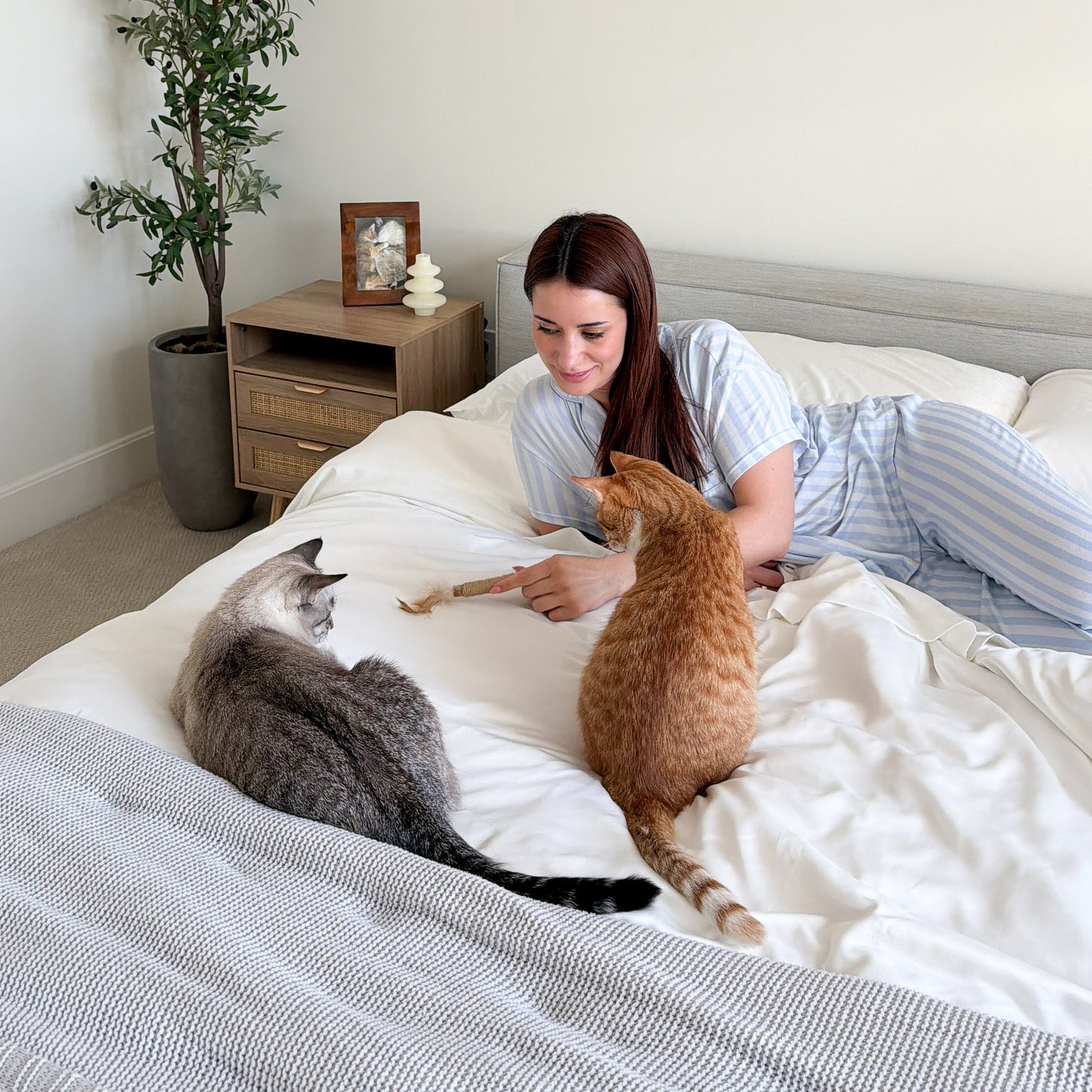 FurAway Duvet Cover