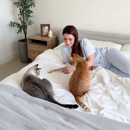 FurAway Comfort Bundle