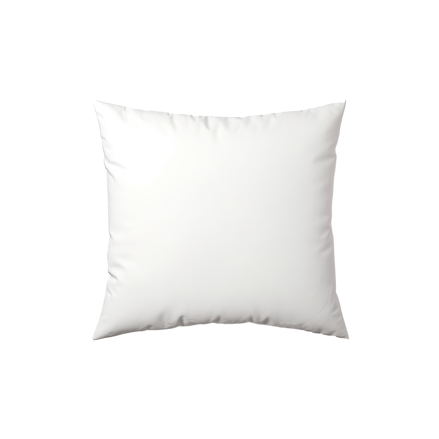 Pillow Insert - White | 20x20